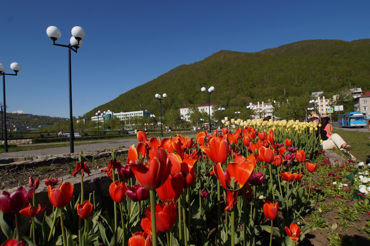 В краевой столице пройдут городские променады
