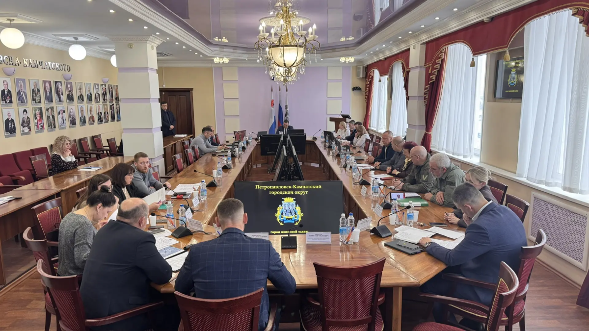 Помощь участникам СВО, строительство памятника Атласову и поддержка ветеранских организаций: итоги заседания профильного комитета Думы