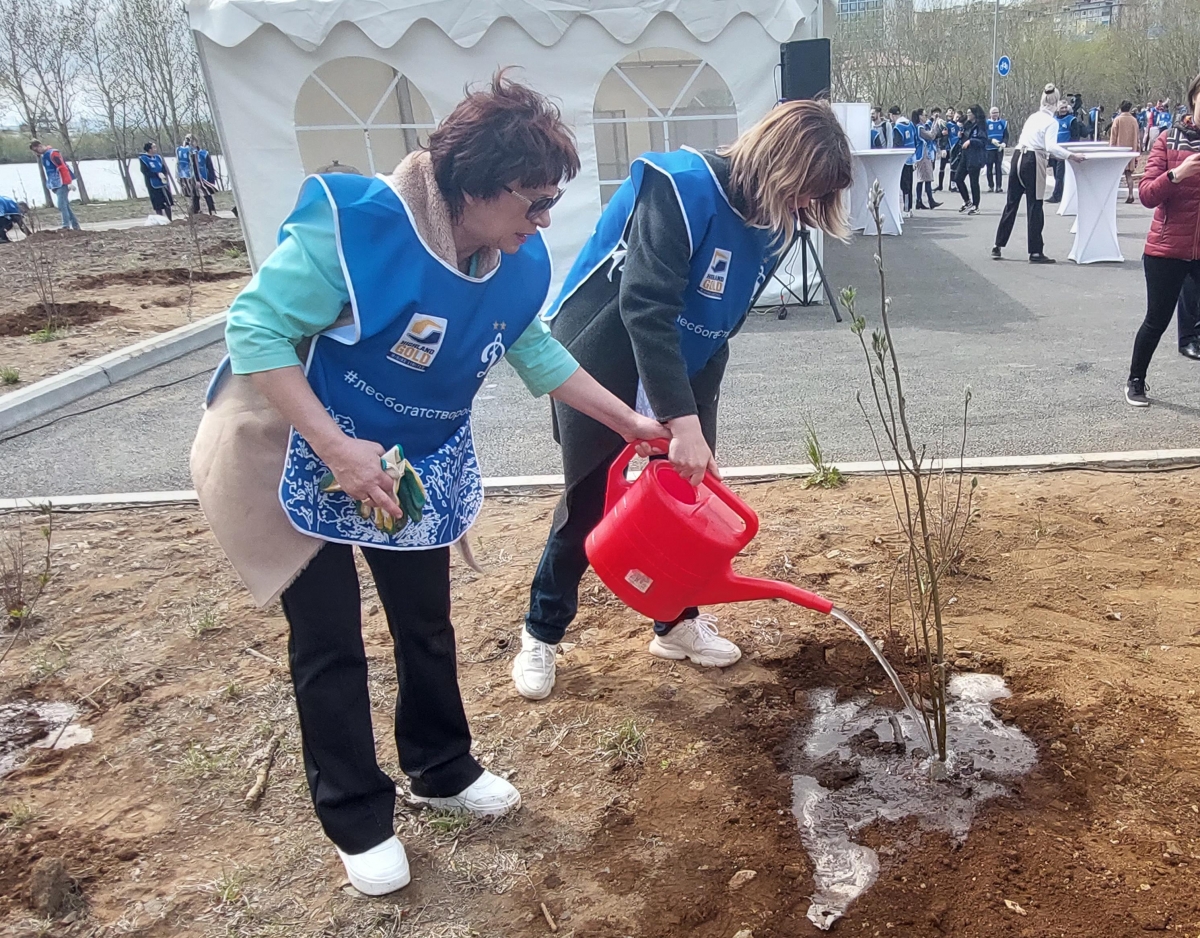 70 деревьев высадили в Петропавловске в рамках экологической акции