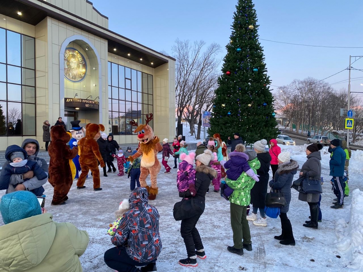 Новогодние ёлки откроют в Петропавловске-Камчатском