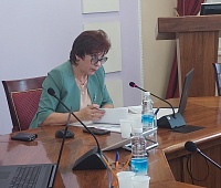 Тему снижения преступности в Петропавловске-Камчатском обсудили депутаты ГорДумы