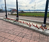 Горожане создали стихийный мемориал в память о погибших в авиакатастрофе