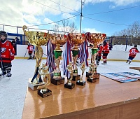 В Петропавловске подвели итоги первого в истории города чемпионата по хоккею среди школьников