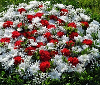 Жители Петропавловска почтили память погибших моряков и рыбаков