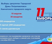 295 кандидатов претендуют на места в Городской Думе ПКГО