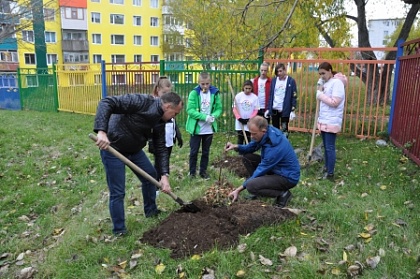 Депутат Городской Думы Сергей Оськин провел акцию по озеленению территорий детских садов 7-го избирательного округа