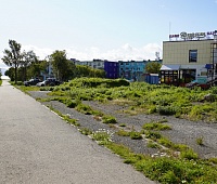 Схему размещения нестационарных торговых объектов меняют для благоустройства