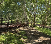 Председатель Городской Думы Андрей Лиманов проверил ход благоустройства пешеходной тропы