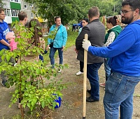 Молодые деревья высадили на улице Дальняя