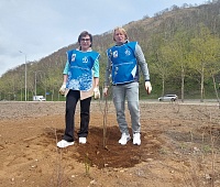 70 деревьев высадили в Петропавловске в рамках экологической акции
