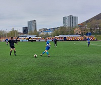 70 деревьев высадили в Петропавловске в рамках экологической акции