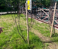 Саргис Сароян в составе межведомственной комиссии проверил состояние оборудования и благоустройства в сквере Строителей