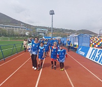 70 деревьев высадили в Петропавловске в рамках экологической акции