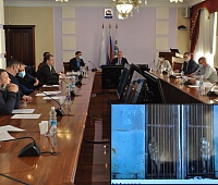 Депутаты Городской Думы займутся разработкой предложений в действующее законодательство, регулирующее порядок обращения с домашними животными 