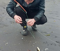 «КЛЁВое сафари-2022» собрало рекордное количество участников