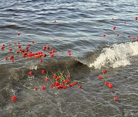 Жители Петропавловска почтили память погибших моряков и рыбаков