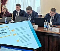 Константин Брызгин представил депутатскому корпусу ежегодный отчёт