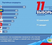 295 кандидатов претендуют на места в Городской Думе ПКГО