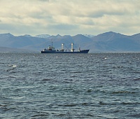 Жители Петропавловска почтили память погибших моряков и рыбаков