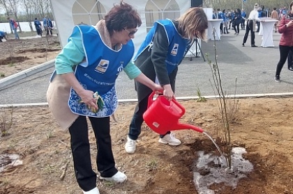 70 деревьев высадили в Петропавловске в рамках экологической акции