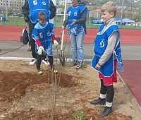 70 деревьев высадили в Петропавловске в рамках экологической акции