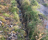 Депутаты Городской Думы вышли на осенний субботник