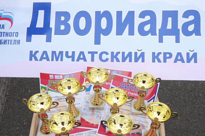Утвержден график проведения «Двориады-2018» на избирательных округах Петропавловска