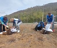 70 деревьев высадили в Петропавловске в рамках экологической акции