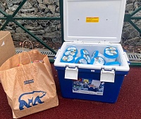 Депутаты провели праздничные мероприятия в связи с Днём защиты детей 